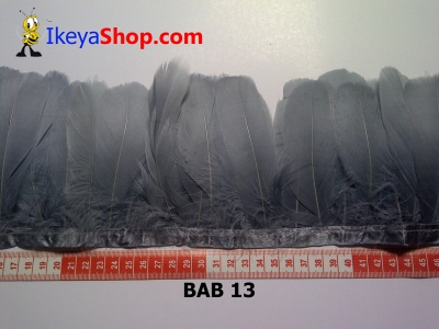 Bulu angsa BAB 13   feather  large2